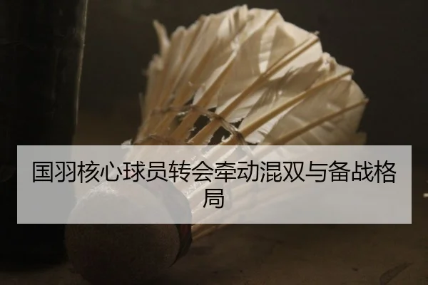 国羽核心球员转会牵动混双与备战格局（NG28）